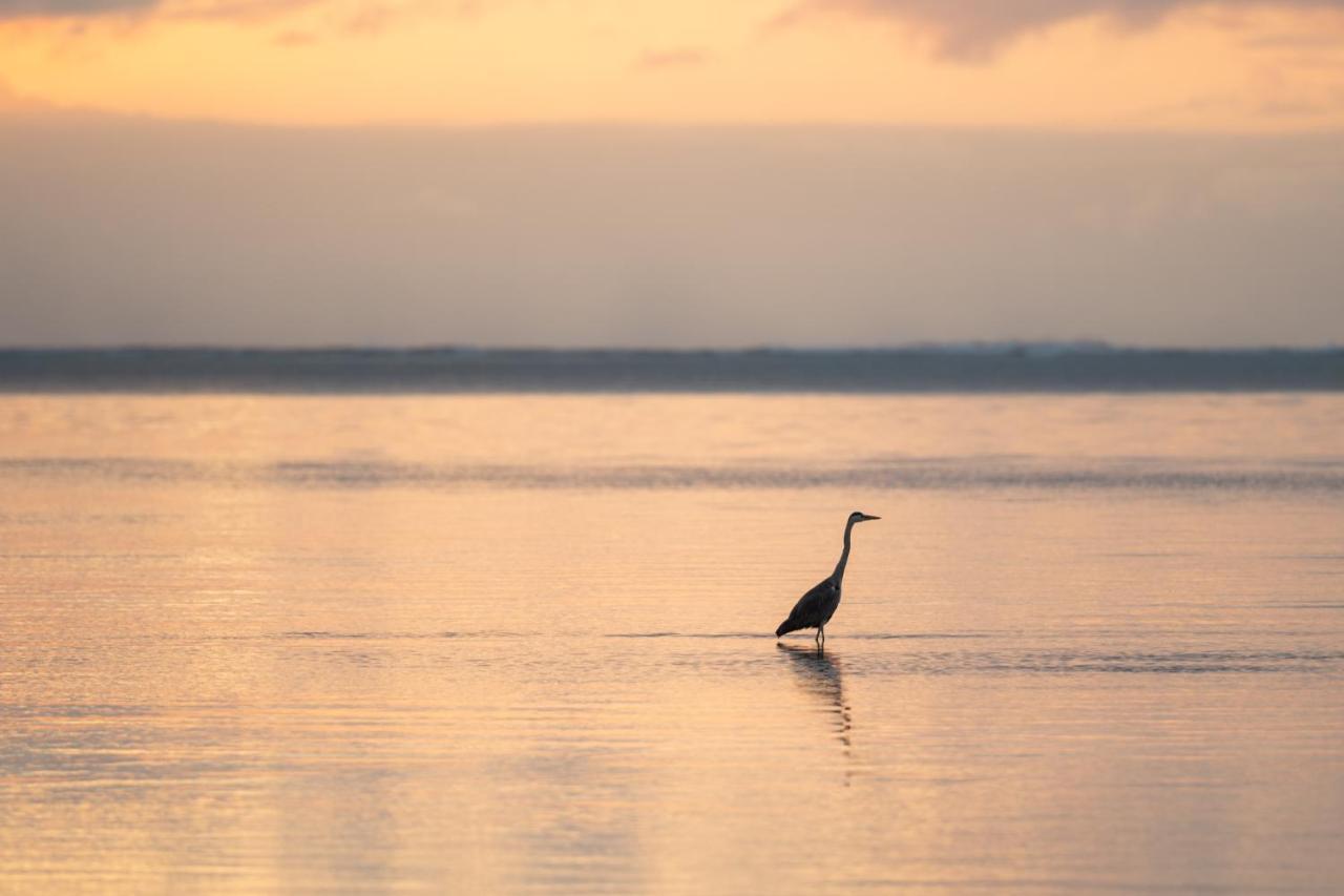 Hakuna Majiwe Beach Lodge ปาเยอ ภายนอก รูปภาพ